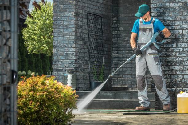 Best Graffiti Removal  in Bonita, CA